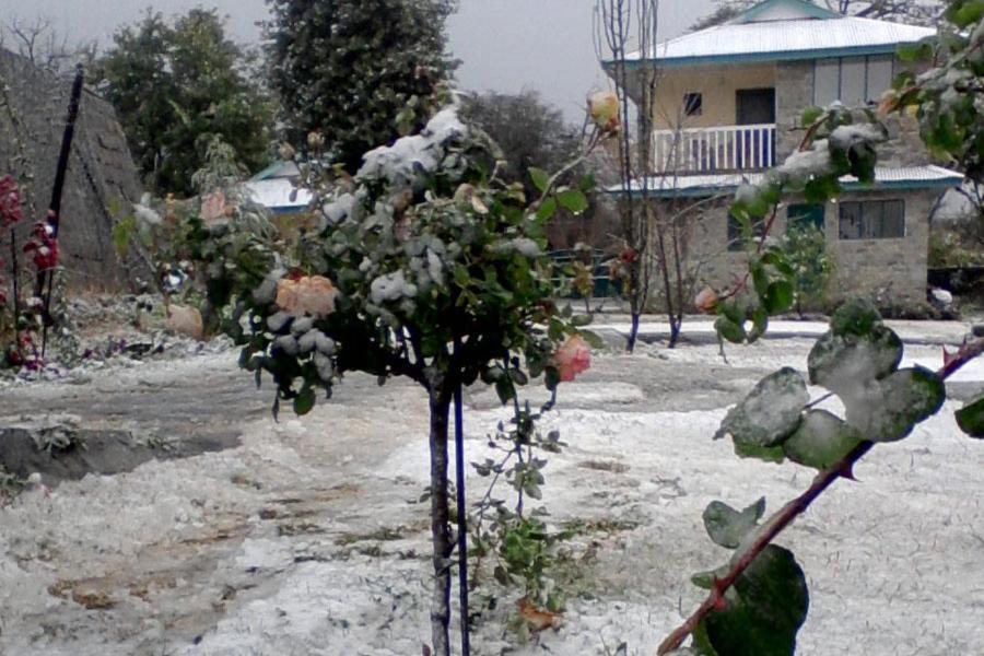 Nagri Resort Pālampur 외부 사진