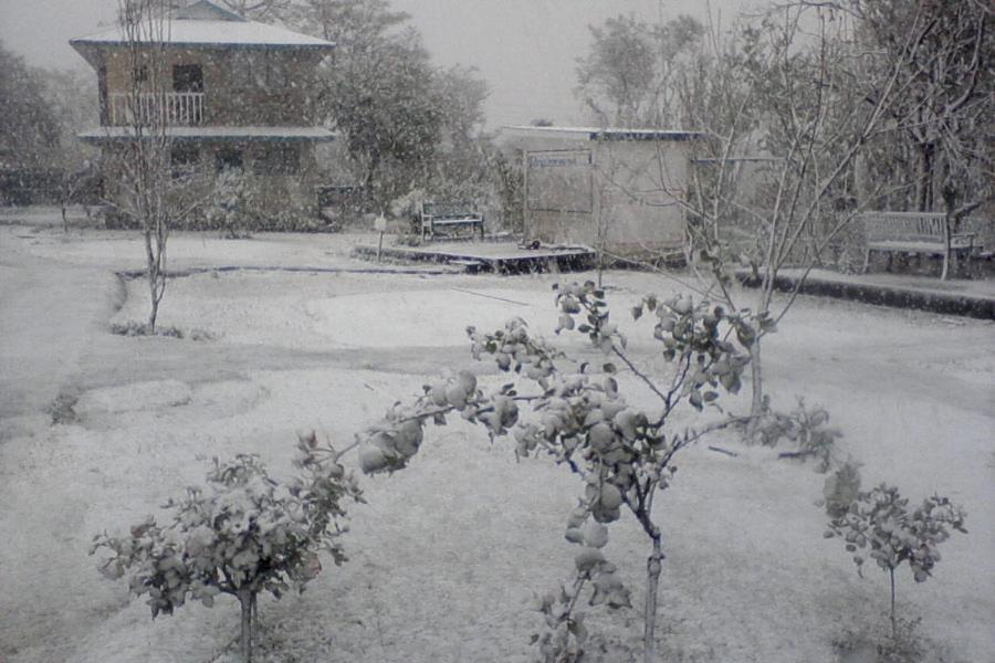 Nagri Resort Pālampur 외부 사진