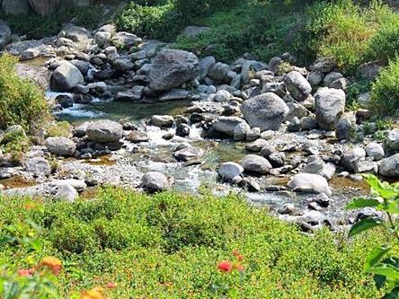 Nagri Resort Pālampur 외부 사진